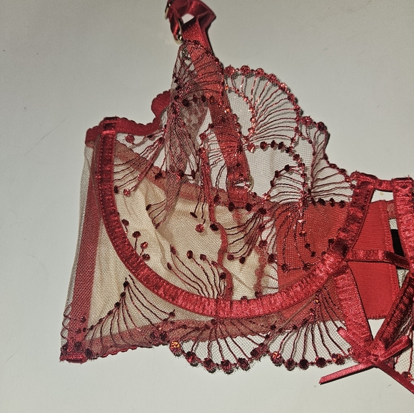 Honey Birdette Sarah Red bra 34DD new - Picture 2 of 4